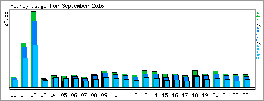 Hourly usage