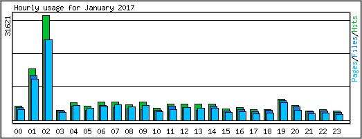 Hourly usage