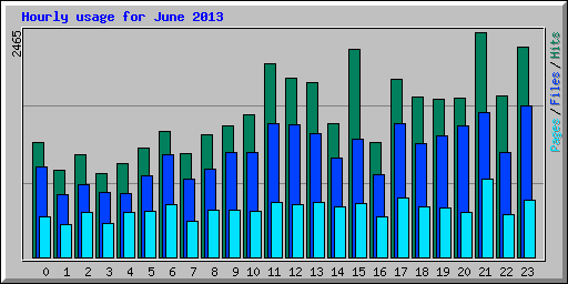 Hourly usage for June 2013