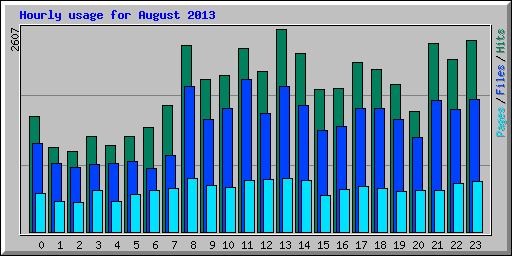 Hourly usage for August 2013
