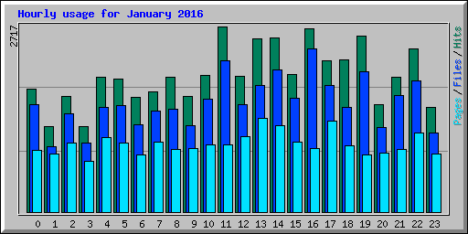 Hourly usage for January 2016