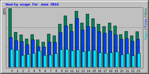 Hourly usage for June 2016