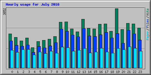 Hourly usage for July 2016